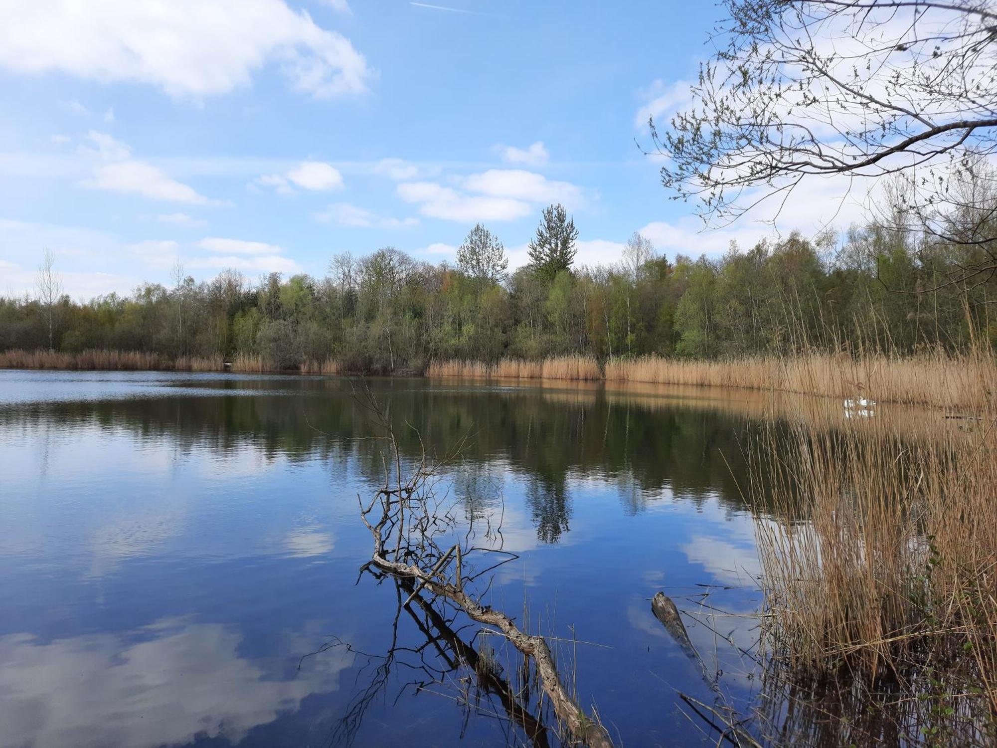 Ferienhaus Am See Goch Kessel Camera foto